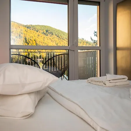 Cozy 4 People With Parking Sinaia