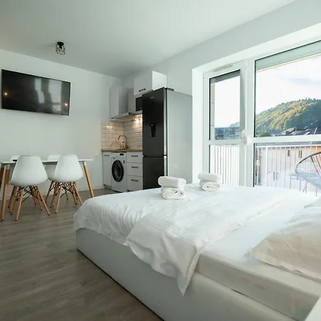 Cozy 4 People With Parking * Sinaia