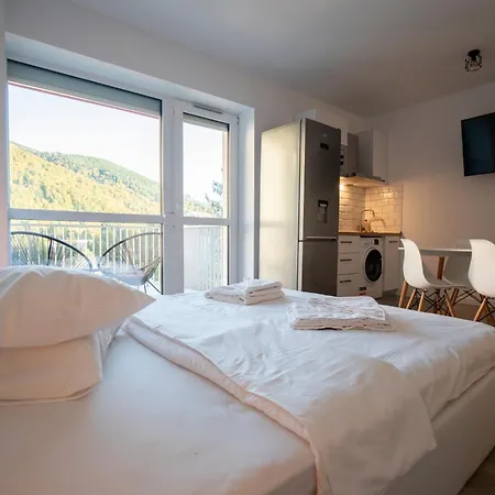 Apartment Cozy 4 People With Parking Sinaia